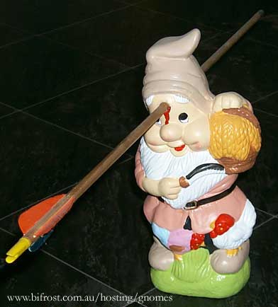 injured-garden-gnome.jpg