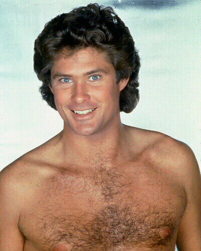 david hasselhoff wallpaper. to wax David Hasselhoff#39;s