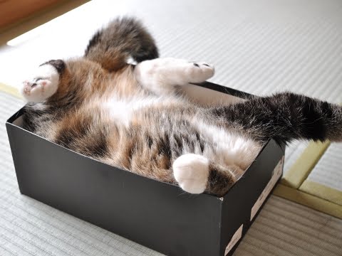 Maru Blog