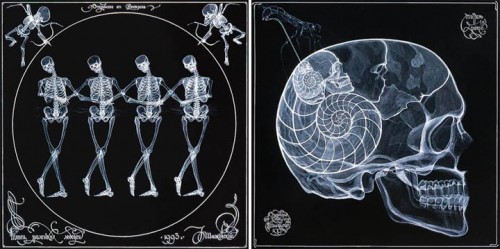 Radical X-ray Art - Neatorama