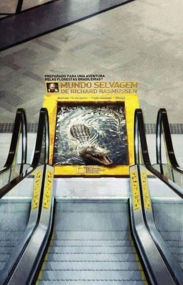 https://www.neatorama.com/images/2014-03/alligator-escalator.jpg