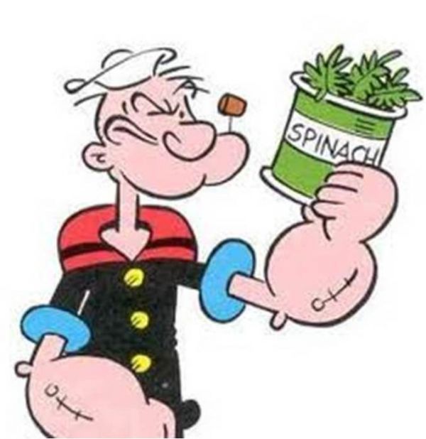 Popeye and the Great Spinach Myth Neatorama